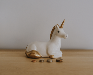 The Data Scientist Unicorn