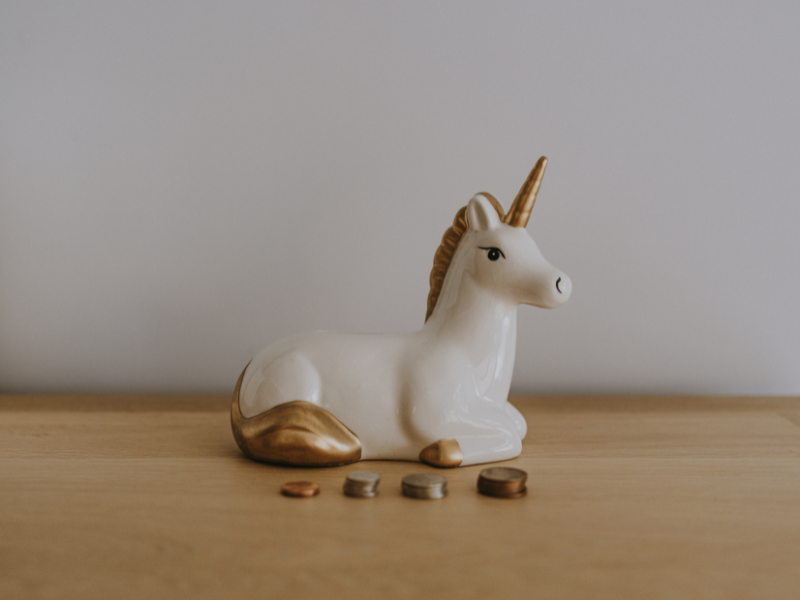 The Data Scientist Unicorn